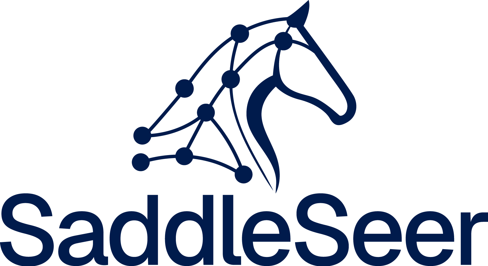 Saddle Seer — Smarter Saddle Fit